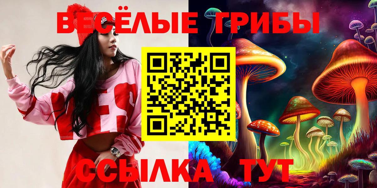 Псилоцибиновые грибы мухоморы Киселёвск